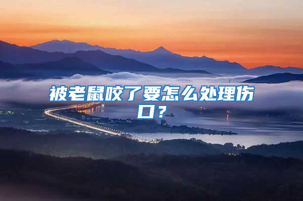 被老鼠咬了要怎么處理傷口？