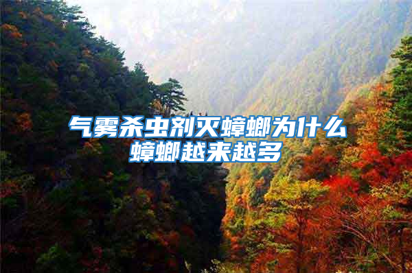 氣霧殺蟲劑滅蟑螂為什么蟑螂越來越多