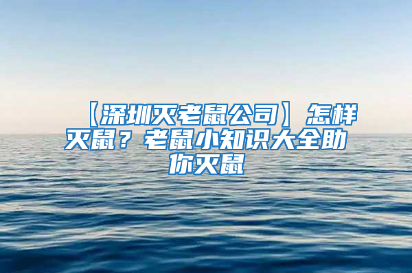 【深圳滅老鼠公司】怎樣滅鼠？老鼠小知識大全助你滅鼠
