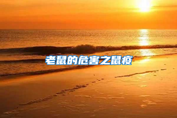 老鼠的危害之鼠疫