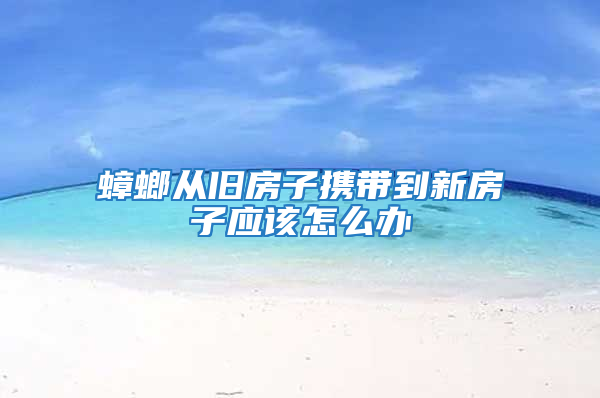 蟑螂從舊房子攜帶到新房子應該怎么辦
