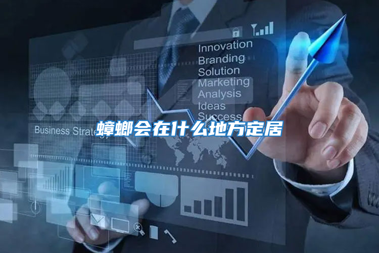 蟑螂會(huì)在什么地方定居