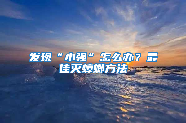 發現“小強”怎么辦？最佳滅蟑螂方法