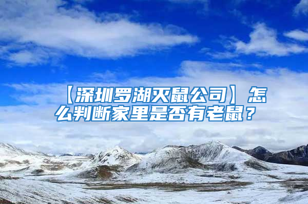 【深圳羅湖滅鼠公司】怎么判斷家里是否有老鼠？