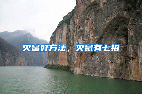 滅鼠好方法，滅鼠有七招