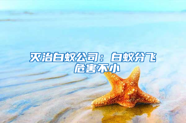 滅治白蟻公司：白蟻分飛 危害不小