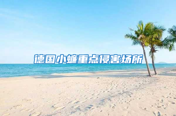 德國小蠊重點侵害場所