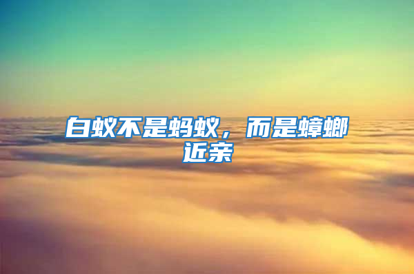白蟻不是螞蟻，而是蟑螂近親