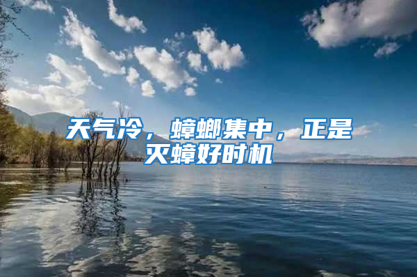 天氣冷，蟑螂集中，正是滅蟑好時機