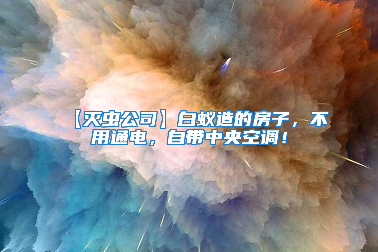 【滅蟲公司】白蟻造的房子，不用通電，自帶中央空調！