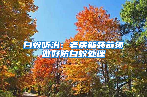 白蟻防治：老房新裝前須做好防白蟻處理