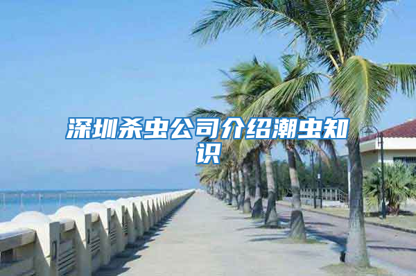 深圳殺蟲公司介紹潮蟲知識(shí)