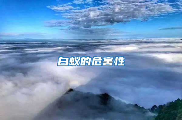 白蟻的危害性