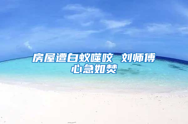 房屋遭白蟻噬咬 劉師傅心急如焚