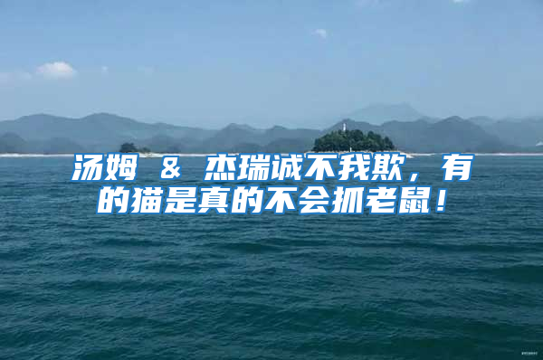 湯姆 & 杰瑞誠不我欺，有的貓是真的不會抓老鼠！