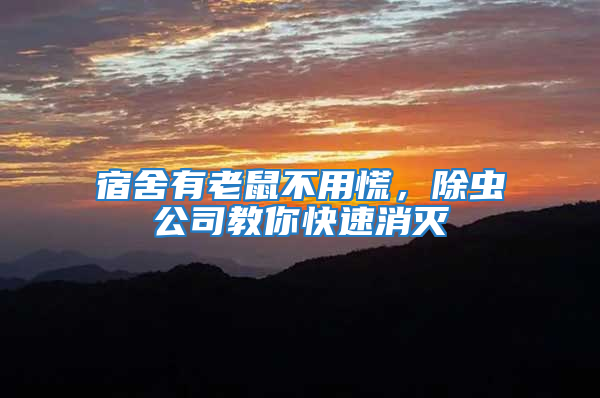 宿舍有老鼠不用慌，除蟲公司教你快速消滅