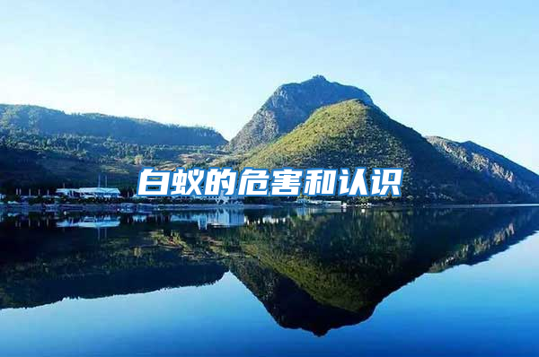 白蟻的危害和認識