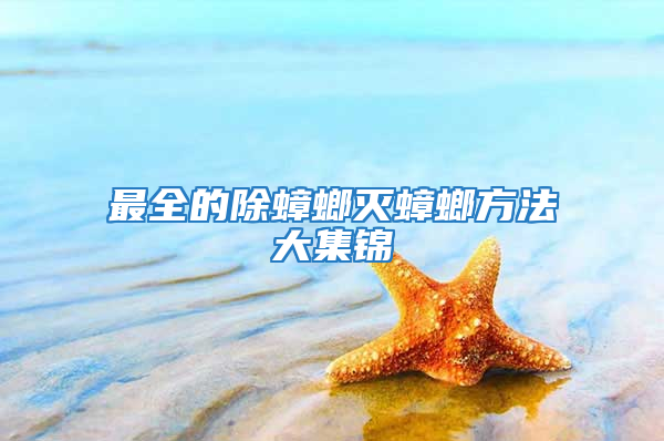 最全的除蟑螂滅蟑螂方法大集錦