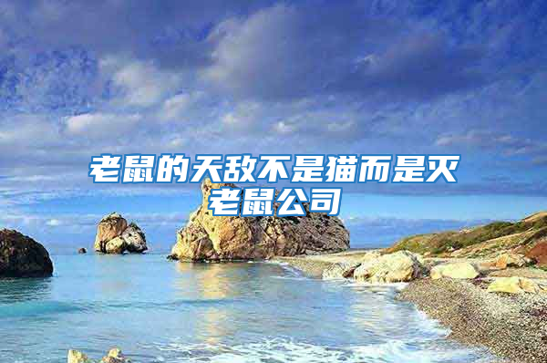 老鼠的天敵不是貓而是滅老鼠公司