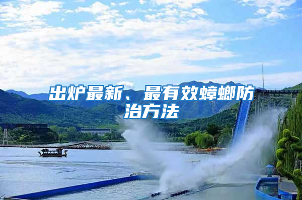 出爐最新、最有效蟑螂防治方法