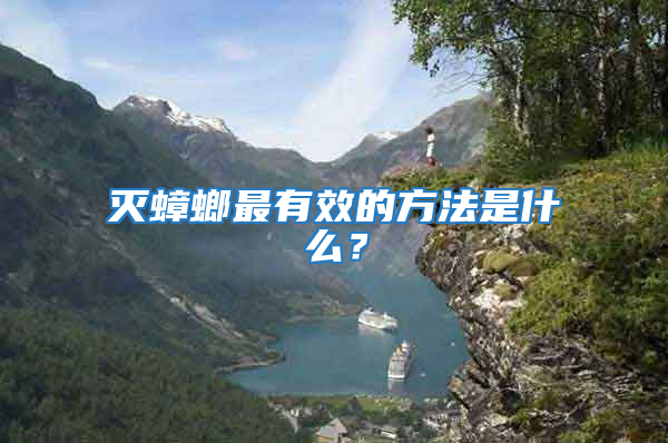 滅蟑螂最有效的方法是什么？