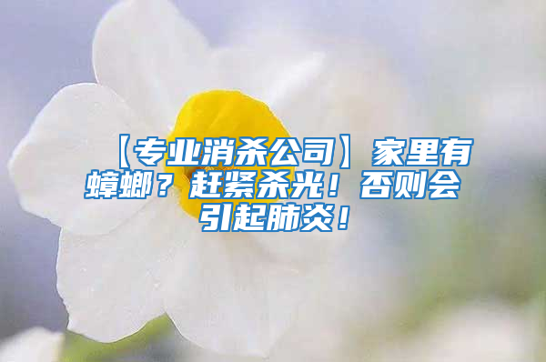 【專業消殺公司】家里有蟑螂？趕緊殺光！否則會引起肺炎！