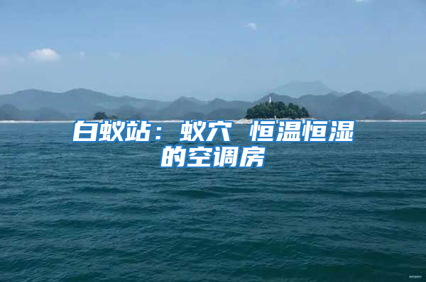 白蟻站：蟻穴 恒溫恒濕的空調房