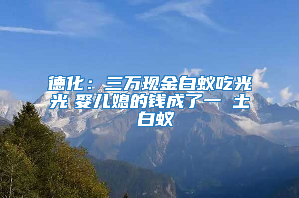 德化：三萬(wàn)現(xiàn)金白蟻吃光光　娶兒媳的錢(qián)成了一抔土 白蟻