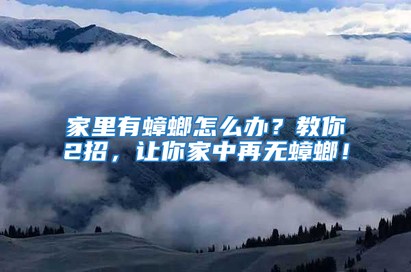 家里有蟑螂怎么辦？教你2招，讓你家中再無蟑螂！