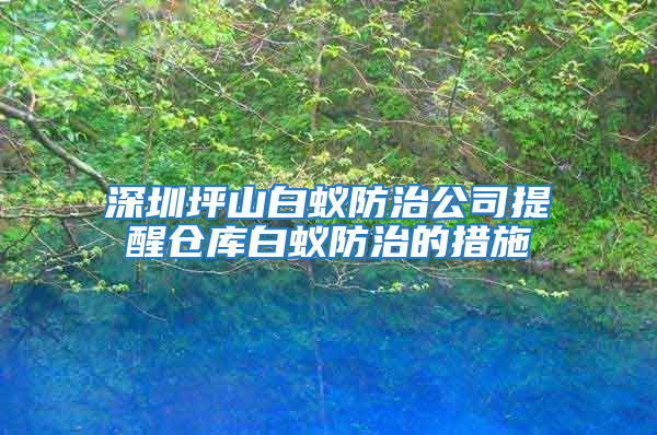 深圳坪山白蟻防治公司提醒倉庫白蟻防治的措施
