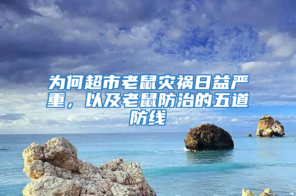 為何超市老鼠災禍日益嚴重，以及老鼠防治的五道防線