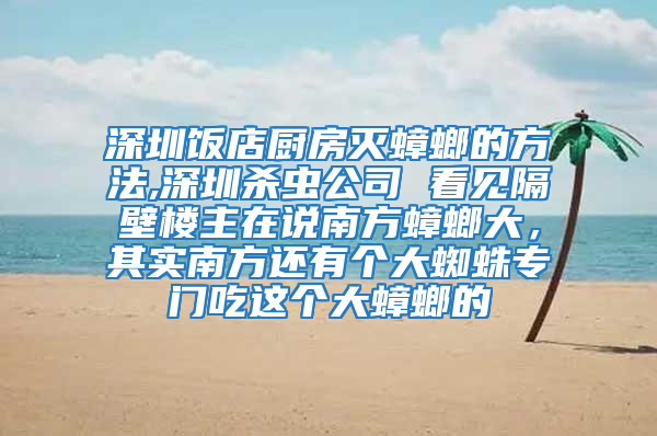 深圳飯店廚房滅蟑螂的方法,深圳殺蟲公司 看見隔壁樓主在說南方蟑螂大，其實南方還有個大蜘蛛專門吃這個大蟑螂的