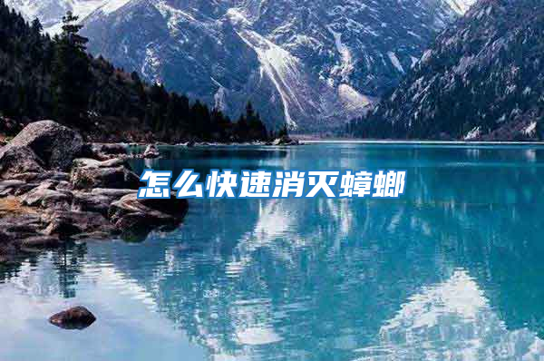 怎么快速消滅蟑螂