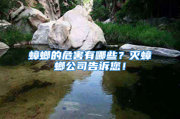 蟑螂的危害有哪些？滅蟑螂公司告訴您！