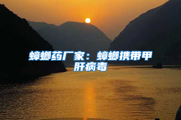 蟑螂藥廠家：蟑螂攜帶甲肝病毒
