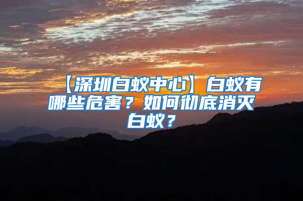 【深圳白蟻中心】白蟻有哪些危害？如何徹底消滅白蟻？