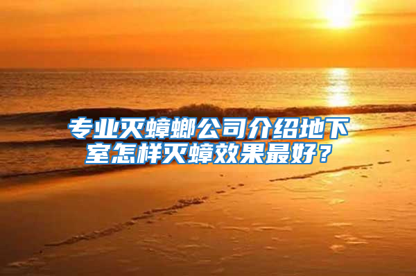 專業滅蟑螂公司介紹地下室怎樣滅蟑效果最好？