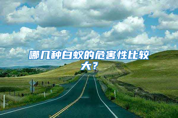 哪幾種白蟻的危害性比較大？
