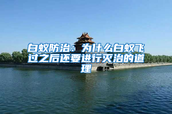 白蟻防治：為什么白蟻飛過(guò)之后還要進(jìn)行滅治的道理