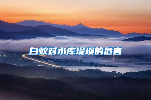 白蟻對水庫堤壩的危害