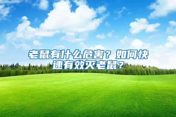 老鼠有什么危害？如何快速有效滅老鼠？
