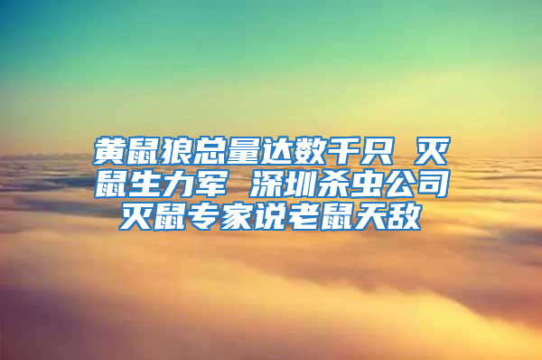 黃鼠狼總量達數千只 滅鼠生力軍 深圳殺蟲公司滅鼠專家說老鼠天敵