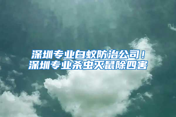 深圳專業白蟻防治公司！深圳專業殺蟲滅鼠除四害
