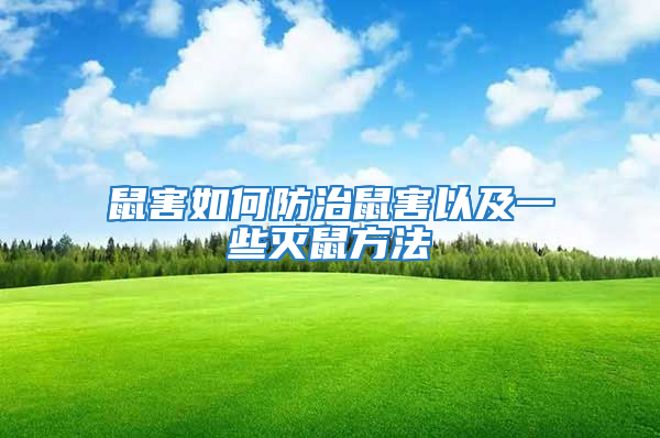 鼠害如何防治鼠害以及一些滅鼠方法