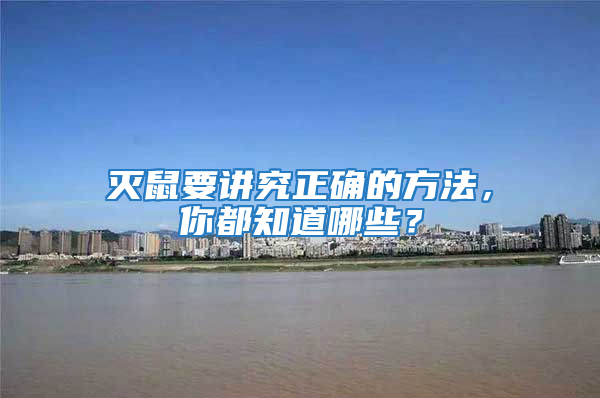 滅鼠要講究正確的方法，你都知道哪些？