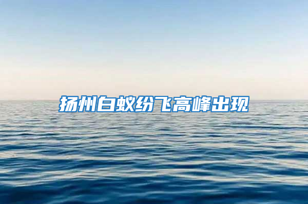 揚州白蟻紛飛高峰出現