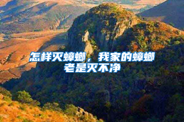 怎樣滅蟑螂，我家的蟑螂老是滅不凈