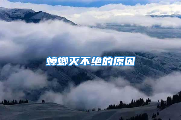蟑螂滅不絕的原因