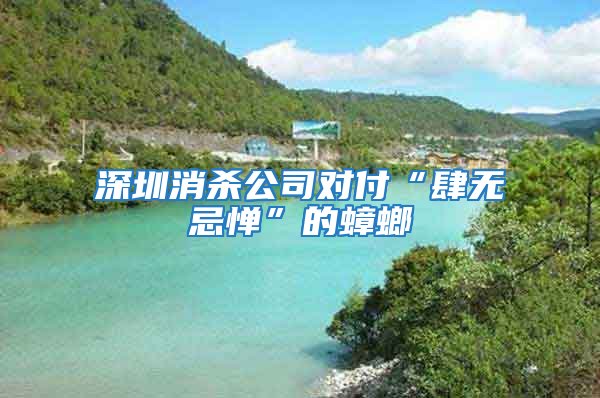 深圳消殺公司對(duì)付“肆無忌憚”的蟑螂