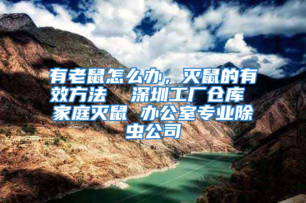有老鼠怎么辦，滅鼠的有效方法  深圳工廠倉庫 家庭滅鼠 辦公室專業除蟲公司